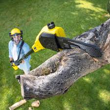 Best Hazardous Tree Removal  in Espy, PA