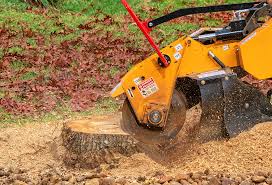 Best Tree Health Inspection  in Espy, PA